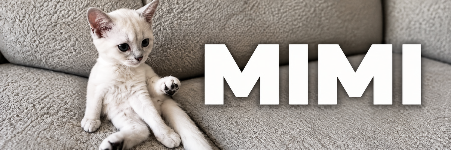 Mimi the kitten